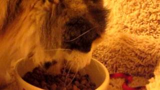 august 11, 2011 070.AVI