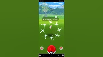 Pokémon GO - Catching a Shiny Barboach