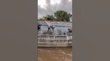 Ghe gỗ vượt Cống tốc độ cao.