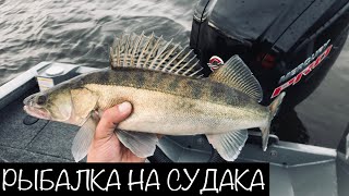 Судак. Джиг. Рыбалка на Финском Заливе