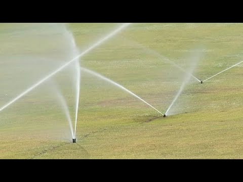 Dürre in Portugal: Kein Wasser mehr für Golfplätze und Grünanlagen