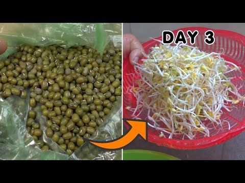 Mung Beans And