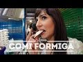 COMI FORMIGA! + TUCUMÃ, PACOVÃ, JAMBU, TUCUPI | MANAUS | DANI NOCE VIAGEM 127