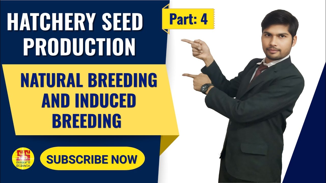 Производство семян в инкубаторе || Естественный посев || Искусственное размножение || 