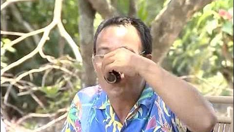 Các loại rượu miền Tây