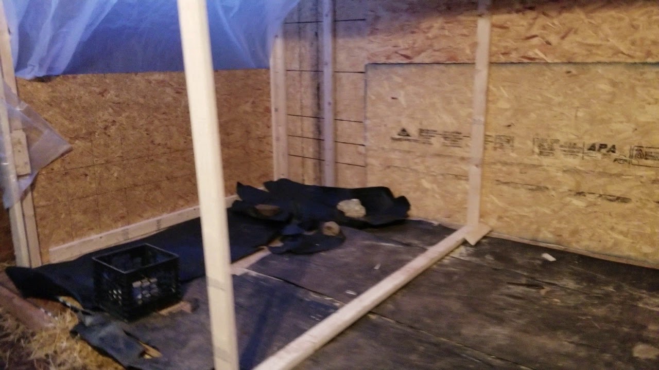 "BUILDING INSULATED DOG KENNELS"... YouTube