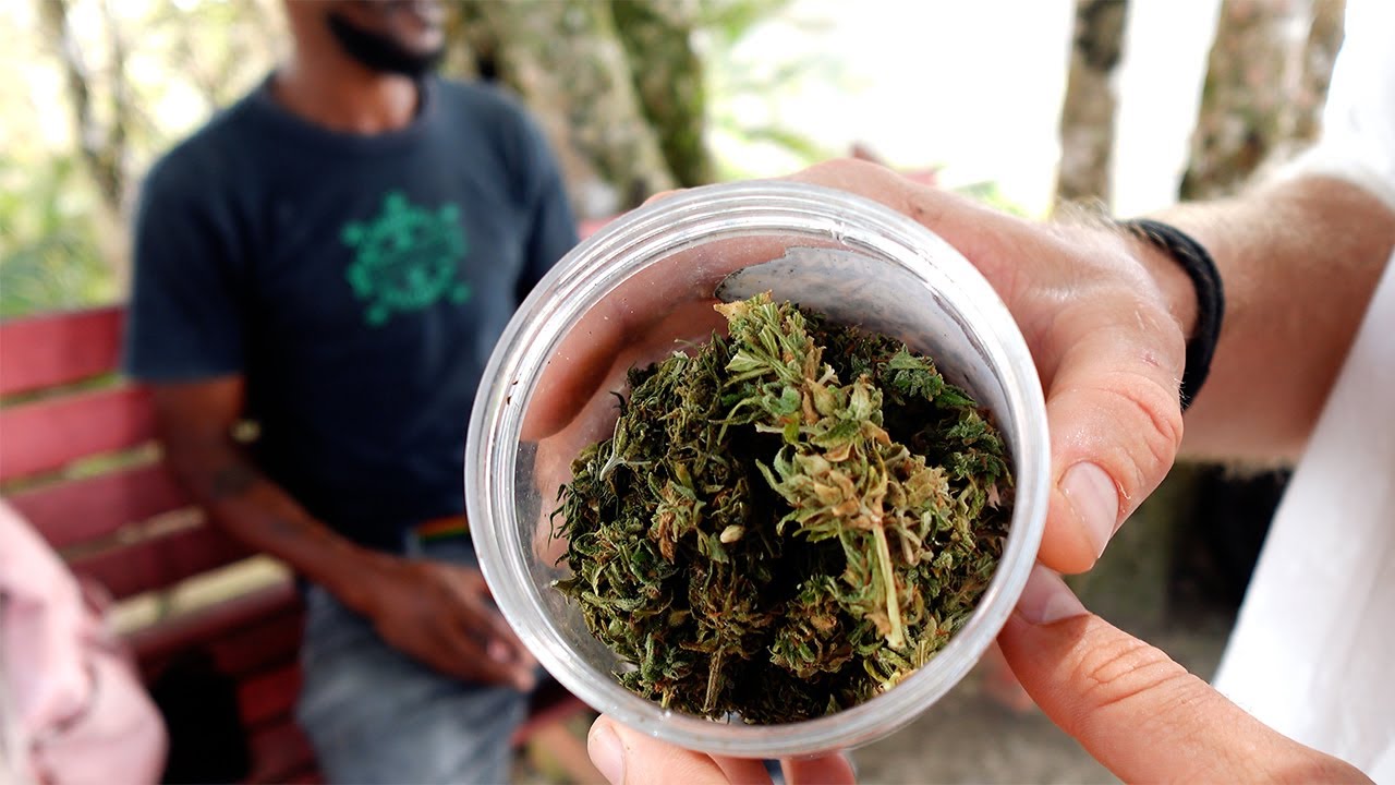 A încercat să-mi vândă ganja în St Lucia