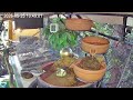 Vormittag am Vogel-Spa (25.05.2026)