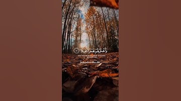 واصبر على مايقولون🍃🕊 "وَاهْجُرْهُمْ هَجْرًا جَمِيلًا" |تلاوة خاشعة للقارئ عبد الرحمن مسعد🌿