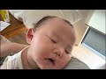 むちまる 赤ちゃん baby お昼寝配信【20241006】