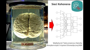 Sieci Kohonena - część 1