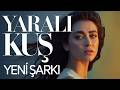 Yaralı Kuş Yeni Şarkı 2026 