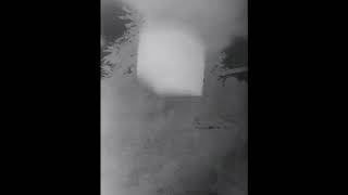 L System2,  TAI2018