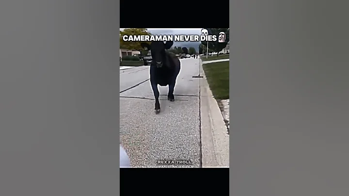 Cameraman Never Dies 🗿 #trollface