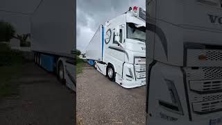 Volvocular Buraya Resimi