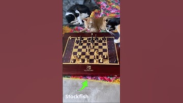 3 mindblowing cool gadgets robots 😎 #shorts #viral