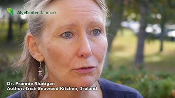 Video from AlgaeCenter Denmarks "Danish Macro Algae Conference"