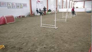 Hyppytekniikan peruskurssi Progressive grid, retriever Lyyli