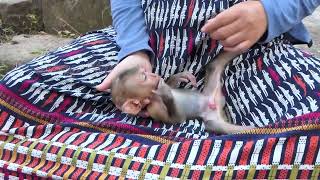 WATCH: Abandoned Royston’s HILARIOUS Tantrum for Milk — Is He SPOILED Baby Everyone's Talking About?