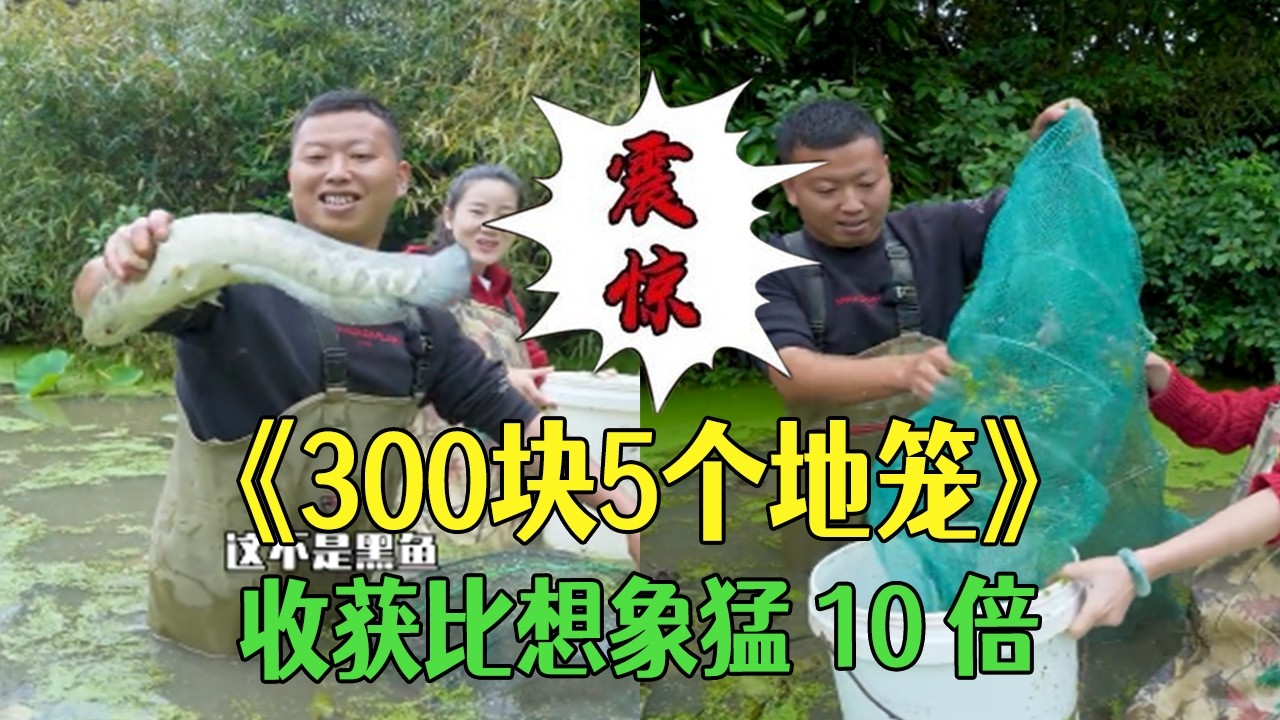 十幾年無人問津的魚塘，300 塊 5 個地籠，收獲比想象猛 10 倍 #小飛哥#三農 #新農人計劃 #護外 #我要上熱門#包塘