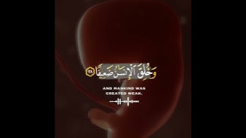 قرآن كريم بصوت خاشع♥️🕊| حالات واتس اب دينية قصيرة 🎧💙