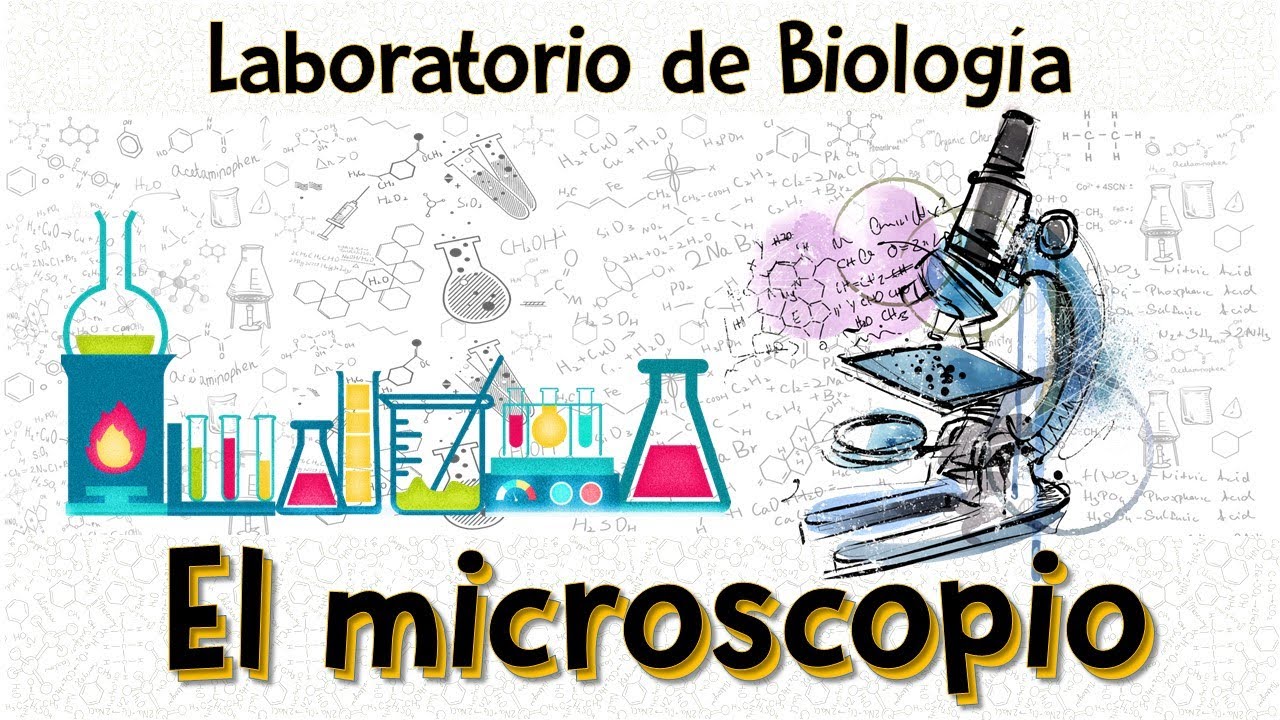 100 cubreobjetos de vidrio y 2 goteros de plástico listos para microscopio y laboratorio de biología investigación científica MenYiYDS-25 portaobjetos de microscopio 