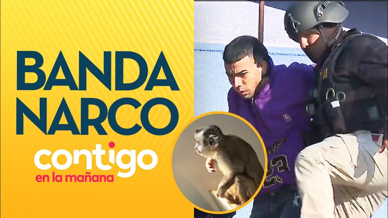 LÍDER DESDE LA CÁRCEL: Así funcionaba el clan narco 