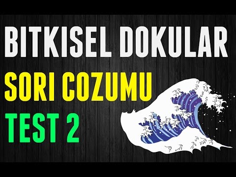 BİTKİ BİYOLOJİSİ BİTKİSEL DOKULAR SORU ÇÖZÜMÜ TEST 2