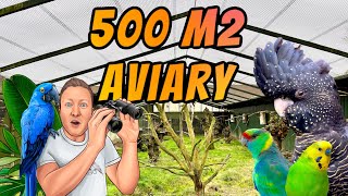 Parrot Heaven & 500m2 Aviary  Riesige Voliere und seltene Kakadus  with Subtitles