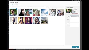 Fortune WordPress Theme: Setting Up Grid Page Template with Sidebar