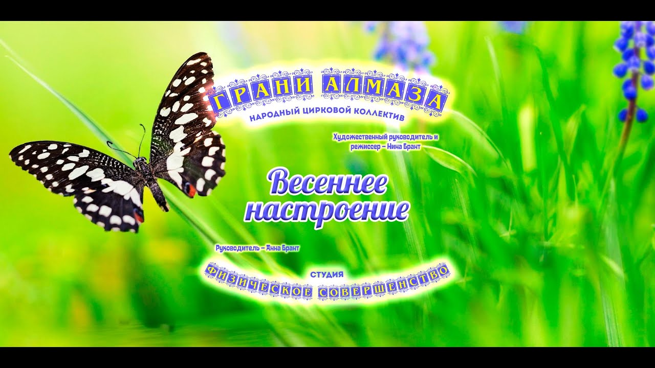 Концерт «Весеннее настроение» циркового коллектива «Грани алмаза» и студии «Физическое совершенство»