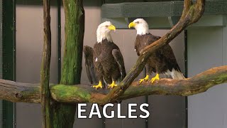 Coastal Kingdom | Season 2, Episode 7 – ‘Bald Eagles’ | Full Episode Wealth