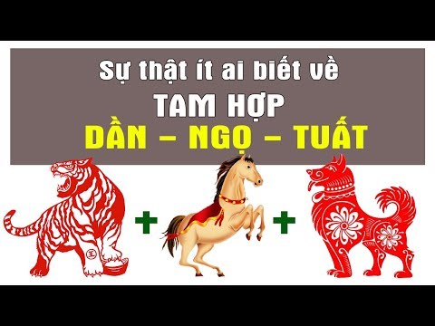 Tam Hợp Tuổi Giáp Tuất - Những Sự Thật Ít Ai Biết Về Bộ Tam Hợp DẦN - NGỌ - TUẤT