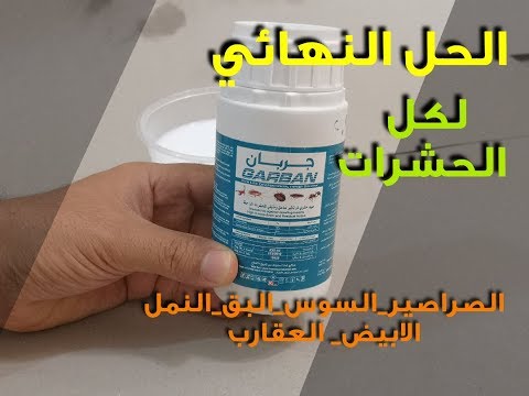 فيديو: كم تكلفة رذاذ النمل الأبيض؟