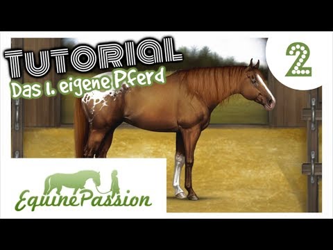 Equine Passion [EP]: TUTORIAL Tag 2 - Unser 1. EIGENES Pferd #2 [DEUTSCH]