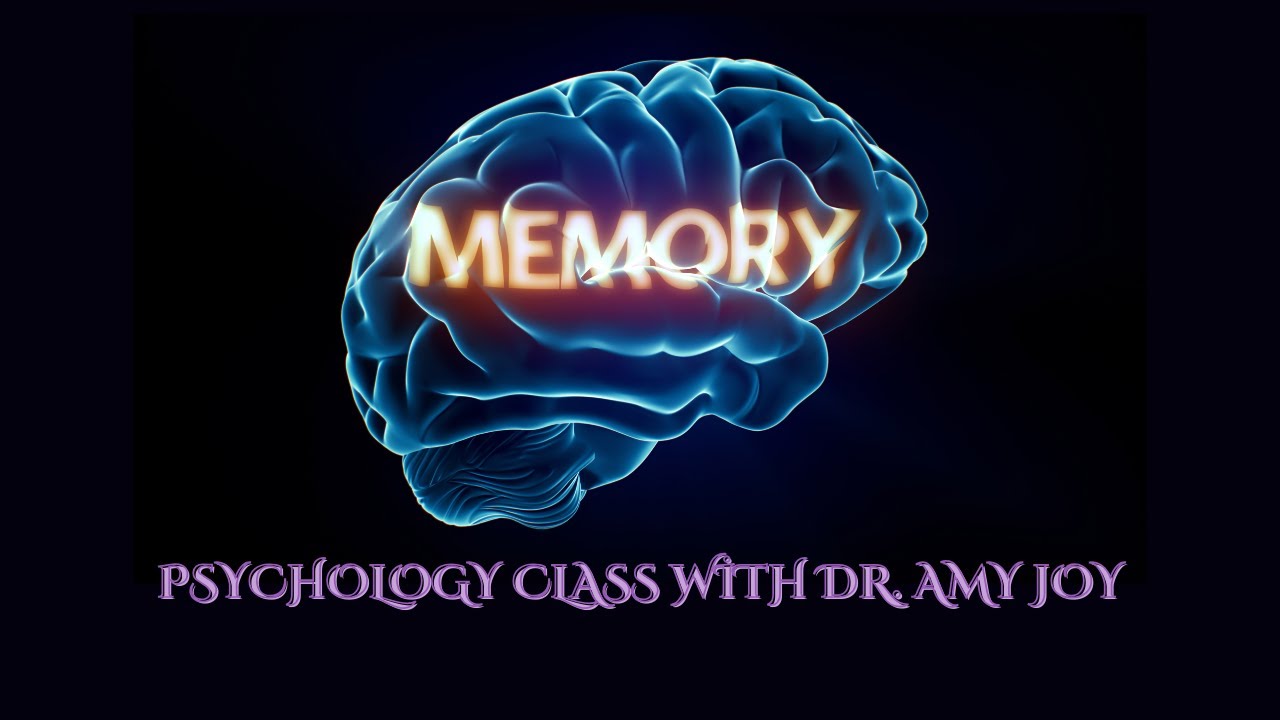 Psychology Lecture - Memory Models - YouTube