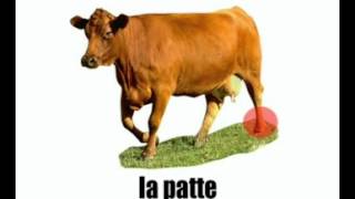 درس الفرنسية = البقرة 2