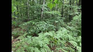 00 Bass Avenue, Kalkaska, MI - 1948228