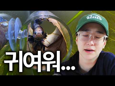 베타한테 <strong>침대</strong> 만들어 줬어요