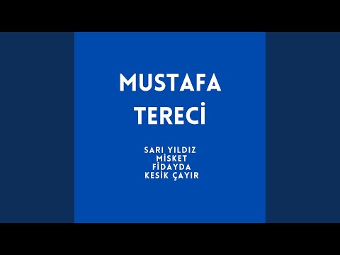 Sarı Yıldız / Misket / Fidayda / Kesik Çayır