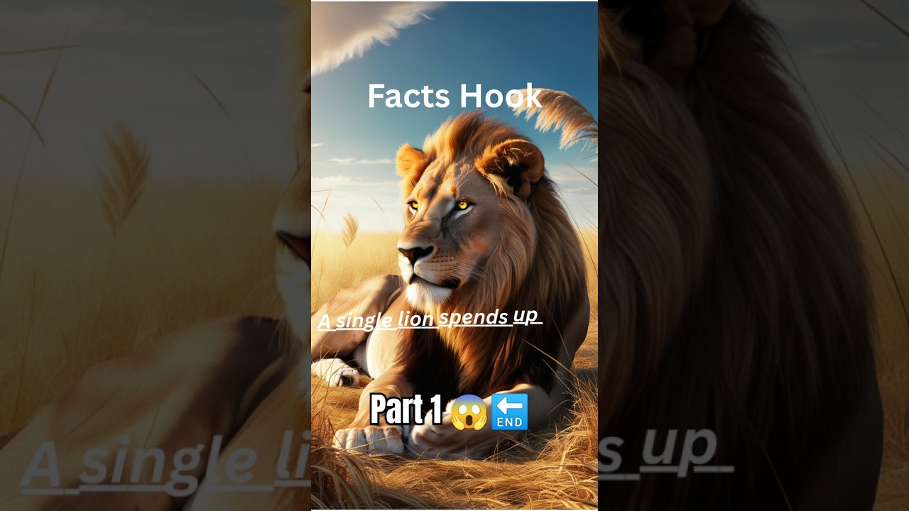 The Lazy King: Why Lions Rest 20 Hours a Day but Strike with Precision 