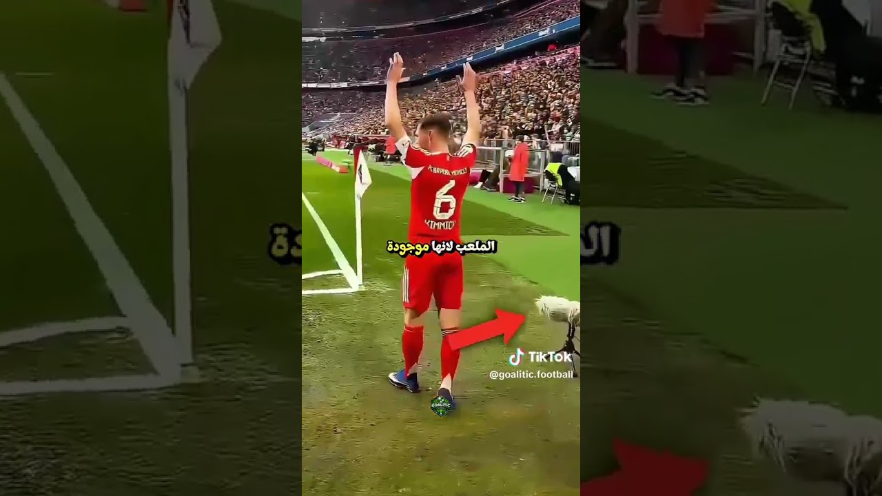 اغرب لقطات في تاريخ كرة القدم #football #ronaldino #ronado #ronaldovshaaland