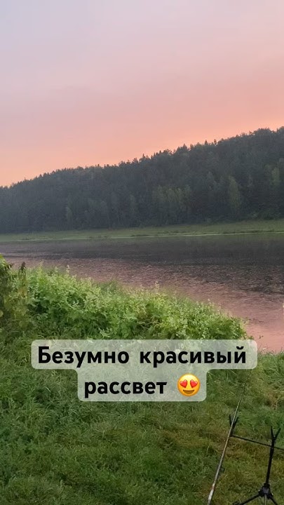 #рыбалка #giveлещ #fishing #лещ #фидер #рыба #москва# Волга #старица ...