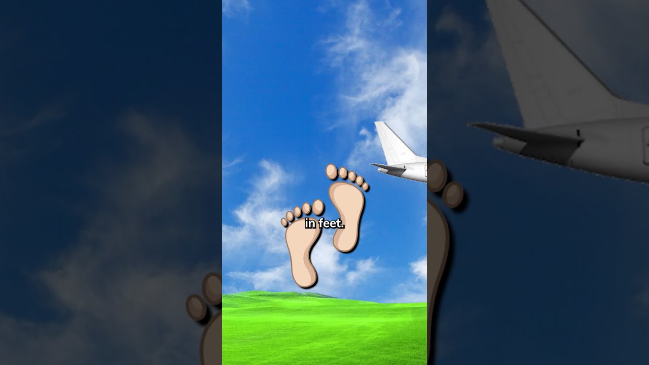 Why Do Airplanes Go: 50, 40, 30, 20, 10 | Radio Altimeter Explained