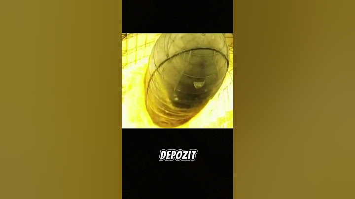 Acest Soldat A Vazut Ceva Socant