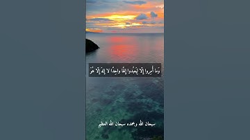 الشيخ حلمي الجمل.. نوادر روعه اجمل ما قراء ممتاز جدا نادر #تلاوات