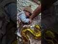 cute bacha #baby #qaseeda #famousshorts #viral #kidsfunnyvideos #shorts #fyp #love #music