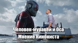 Человек муравей и Оса - обзор фильма. Юбилейный выпуск. Кинонист