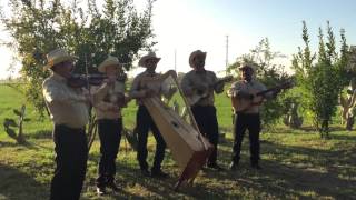 Video voorbeeld van "Los Temporales  de Tierra Caliente, La Malena"