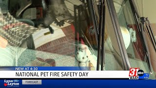 Madison fire captain shares pet rescue advice for emergencies